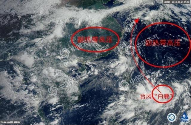 11号台风“白鹿”是怎么来的 “白鹿”本周末或登陆华南沿海