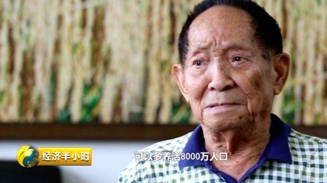 7年过去，海水稻长势喜人！还有“小目标”：推广一亿亩海水稻，多养活8000万人口