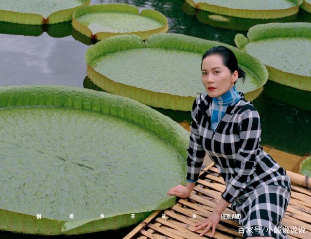 组图:俞飞鸿西双版纳拍杂志,优雅气质超美最新大刊封面曝光!