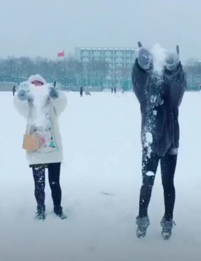 东北下雪了：看到雪的南方人，比雪还好玩……