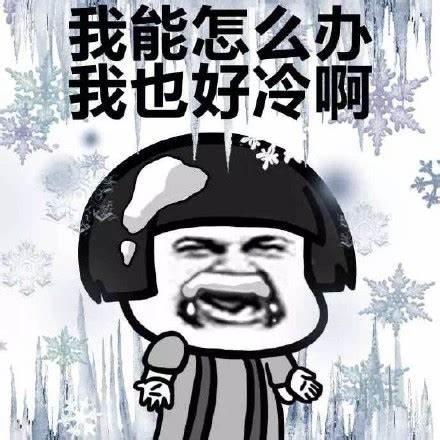 东北下雪了：看到雪的南方人，比雪还好玩……