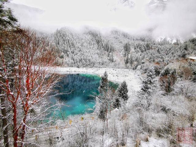 怎么能美成这样？九寨沟连续三天下雪