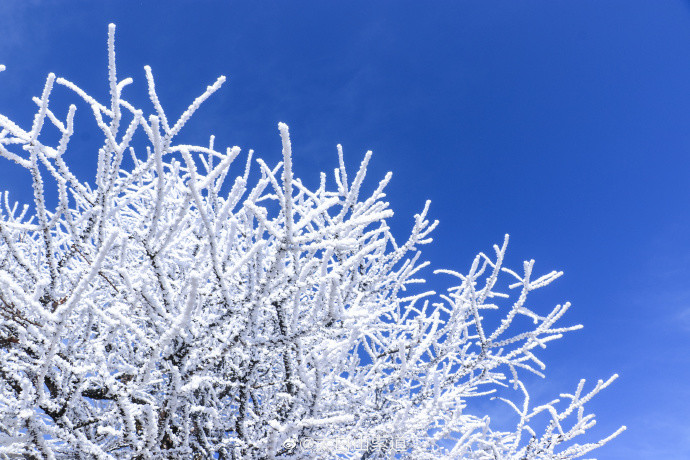 秦岭太白山雪后雾凇美景画面曝光 网友唯美似童话世界