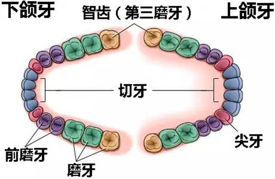 最新3.27蚂蚁庄园今日答案