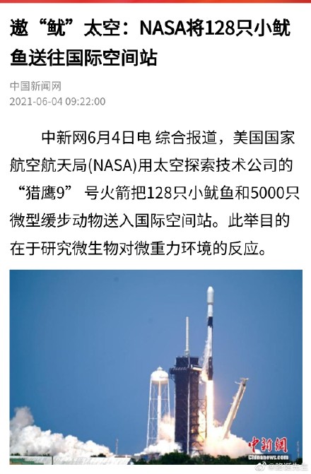 NASA将128只小鱿鱼送往太空 包括5000只水墟