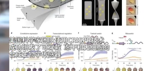 能测空气中新冠病毒的口罩或面世 能测新冠病毒的口罩长啥样