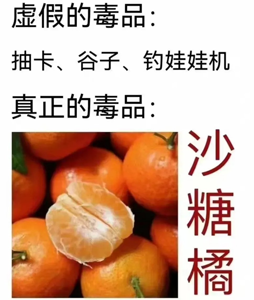 砂糖橘是什么梗？没有一袋砂糖橘能过夜