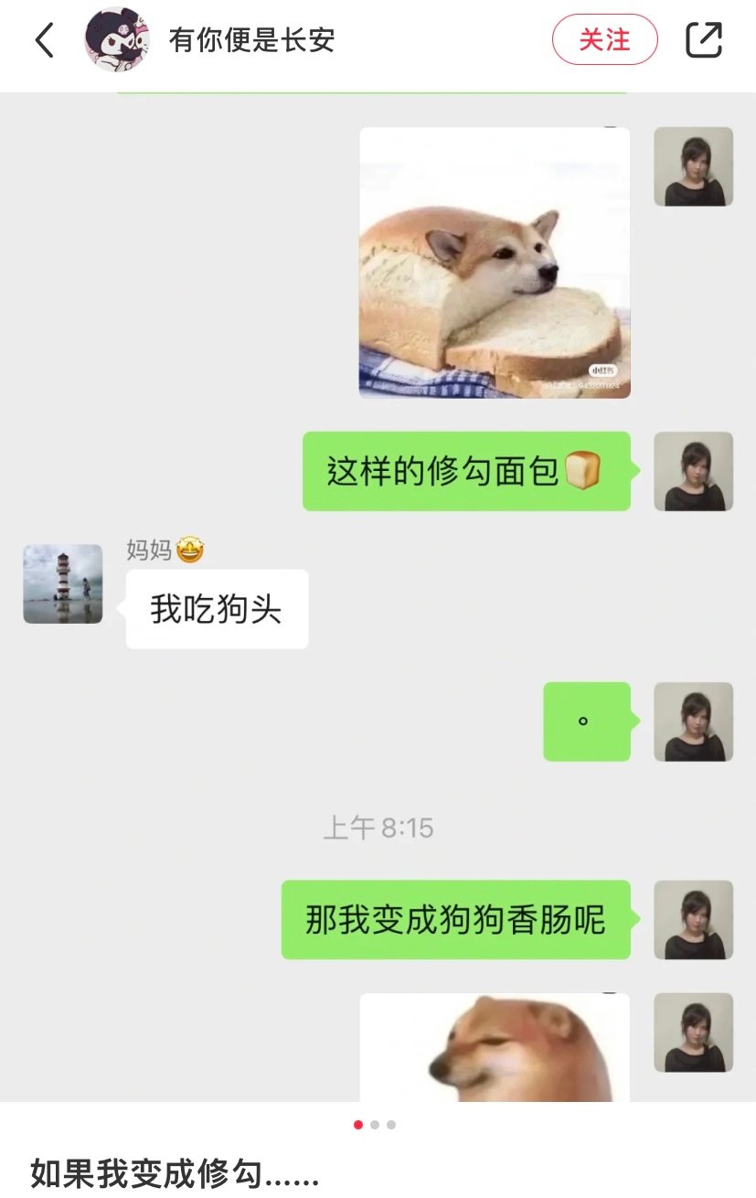 面包狗是什么梗？面包狗表情包 面包狗含义出处介绍