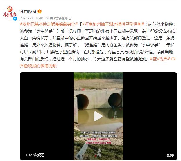 河南汝州怪鱼事件 河南汝州现巨型怪鱼 河南一地抽干湖水寻怪鱼:一条可吃掉整湖鱼