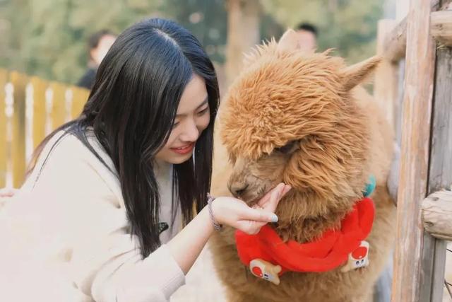 电子科技大学校花 电子科大校花 电子科技大学校花排名