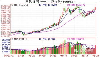 炒股入门应该怎么开户