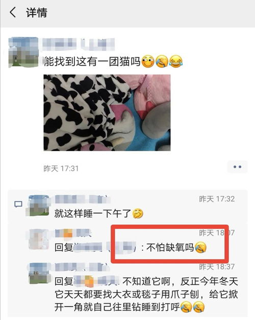 在被窝里闷白