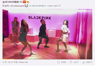 blackpink成员队内担当分配