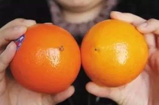 吃完橘子怎么洗手