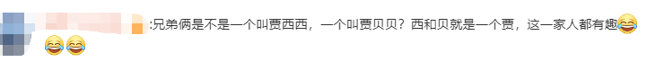 双胞胎萌娃打架道歉成相声现场 网友笑出声：有点相声天赋在身上