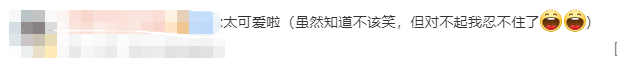 双胞胎萌娃打架道歉成相声现场 网友笑出声：有点相声天赋在身上