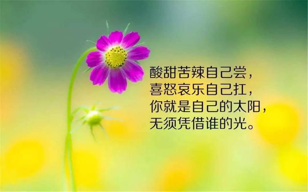 周一早安最美一句话_早安朋友圈图片_周一最短精句