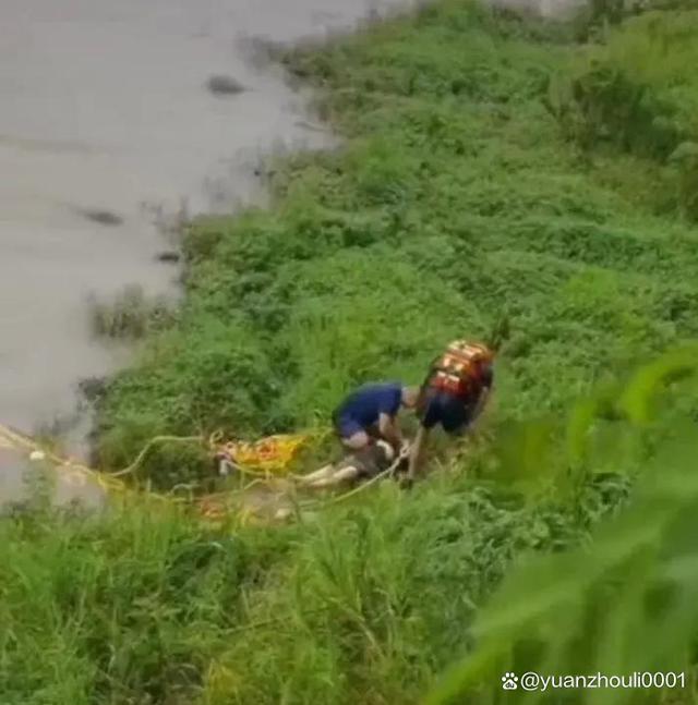 雅安鱼鳞坝事件始末 雅安鱼鳞坝事件起因是什么怎么回事