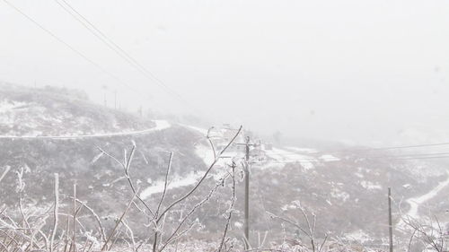 迎接冬天的第一场雪_《冬天的第一场雪》范文5篇分享！你们家下雪了吗？