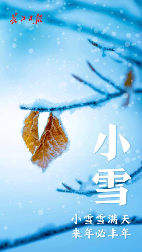 小雪是冬季第2个节气_小雪节气遇第二轮寒潮，京津等地气温骤降、东北有大暴雪