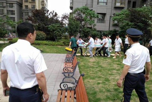 男子多次高空抛物致28岁女子身亡_28岁女子逛街被高空抛砖砸死 嫌疑人：想死不敢跳楼，想被执行死刑