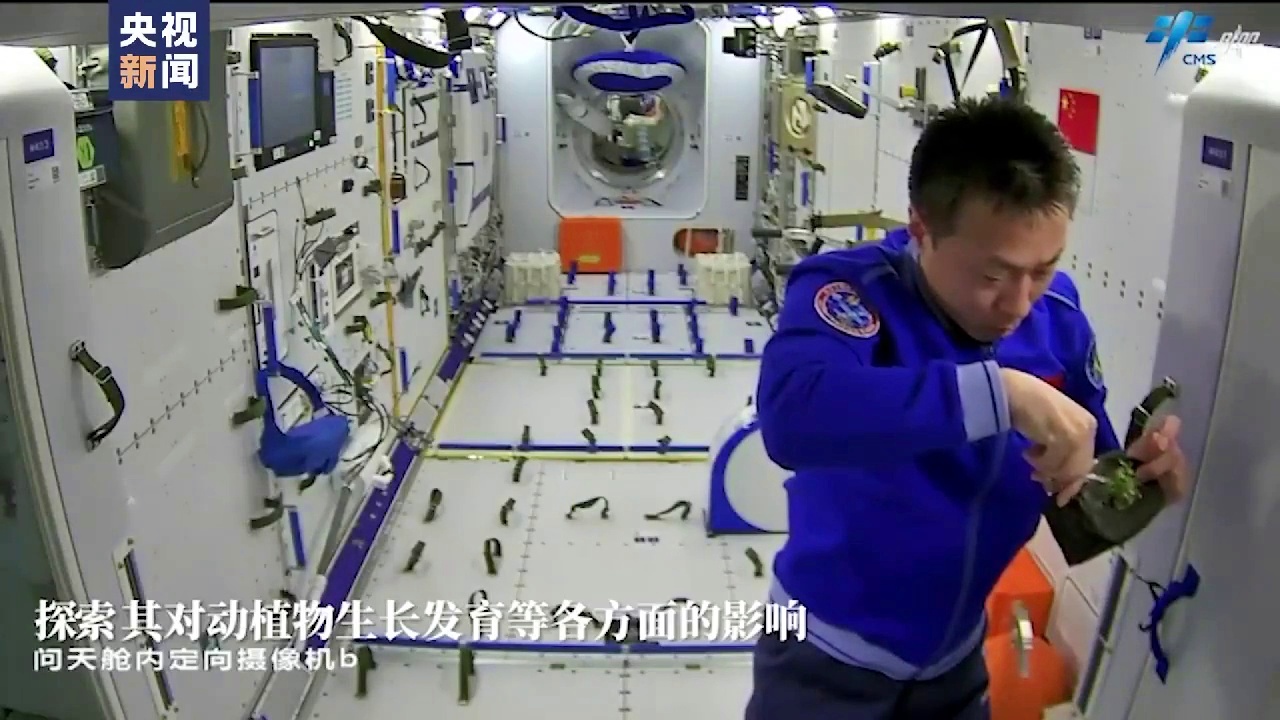 中国空间站：太空种菜先驱者
