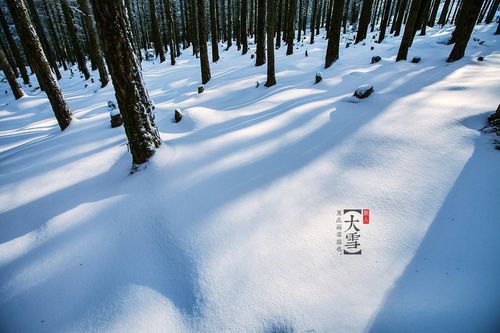 滑雪世界杯遇上大雪节气_2023自由式滑雪及单板滑雪U型场地世界杯开赛