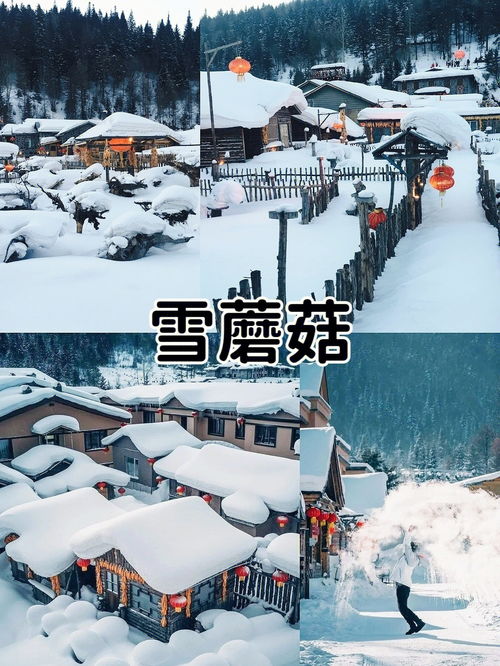 #雪景天花板#北京大雪：仙境重现，但雪景天花板远不止故宫