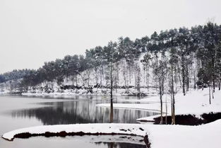 看不够的北京雪景_北京雪还在下，朋友圈白茫茫一片！路上已严重拥堵，高铁、航班也有影响，出行注意