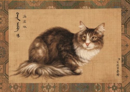 #乾隆的十只猫#乾隆的十只猫：皇家御猫的奢华与情感