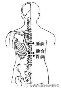 两个穴位帮你补气养血_气血足，病难侵！气血双补的穴位和方法