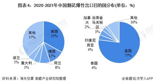 专家称松绑禁燃令是公民权利的回归_中国政法大学教授王成栋：松绑禁燃令是公民权利的回归丨顶端专访