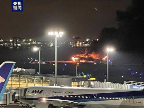 日本羽田机场中国旅客发声_日本羽田机场飞机相撞起火，中国旅客发声：突然看到跑道上浓烟四起，大约2小时才散去