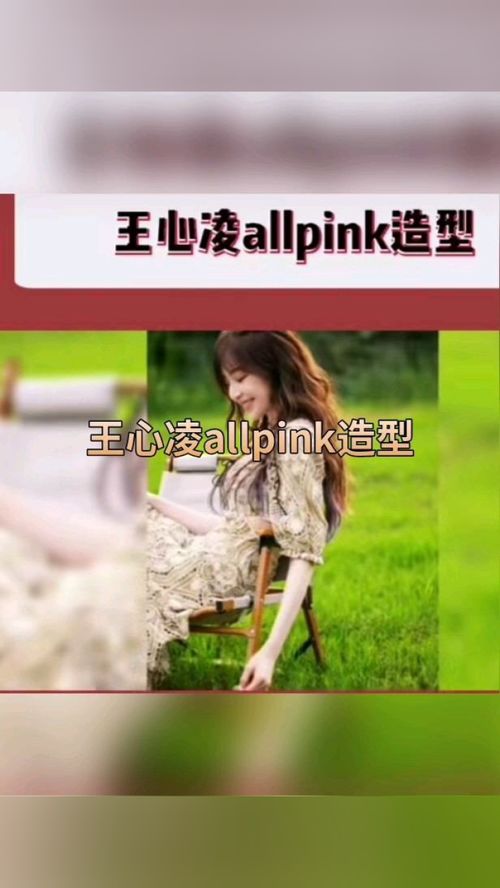 王心凌allpink花仙子造型_王心凌的allpink花仙子造型：时尚新篇章