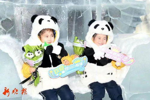 小熊猫带去哈尔滨的行李箱太可爱了_尔滨这次四川“小熊猫”真的来了！