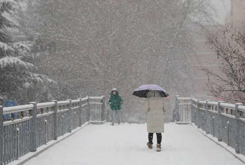 三门峡小学幼儿园停课停学_河南三门峡发布暴雪黄色预警，小学、幼儿园临时停课停学