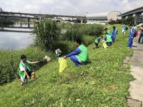 原来台湾是这样丢垃圾的_周杰伦乱扔垃圾上头条？台湾的垃圾回收制度原来是这样的