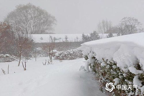 山东局地或遭遇暴雪_局地暴雪！山东9市迎来雪天，明天降雪还要增强