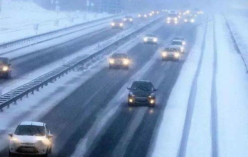 车主称数千辆车因暴雪被困高速_雅典暴雪数千车辆被困高速，每辆车获赔2000欧补偿金