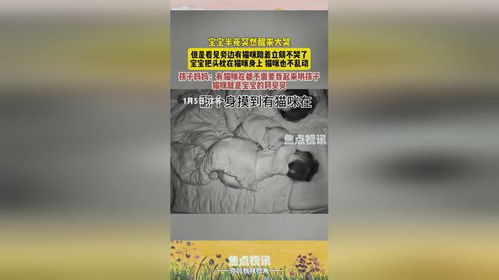 孩子半夜醒来都猫咪陪着_主人带宝宝回家，猫咪起先不理睬，但晚上却偷偷跑到婴儿床上