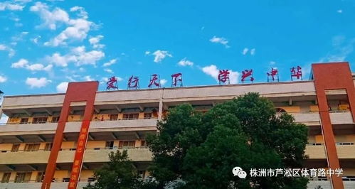 央视网谈三名初中生涉嫌杀害同学_央视网：三名初中生涉嫌杀害同学，要讨论的地方有很多