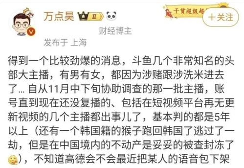 律师解读一条小团团涉赌事件_斗鱼主播一条小团团涉赌被捕，一手好牌打得稀烂，太让人惋惜了