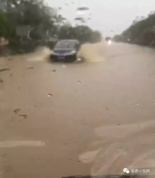 #广东暴雨#国家级暴雨预警升级，广东局部特大暴雨！权威预报：暴雨下进五一