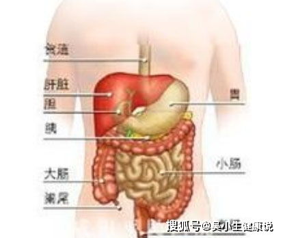 容易拉肚子可能肠道有炎症_总是腹痛腹泻？小心是它在作祟