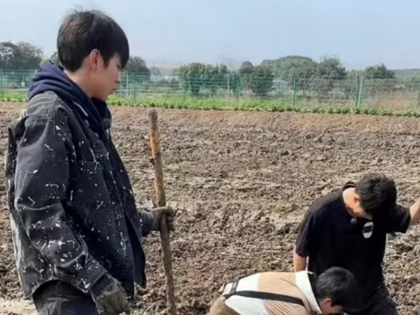 种地吧少年麦田音乐节是哪一期_种地吧少年直播间在哪个平台