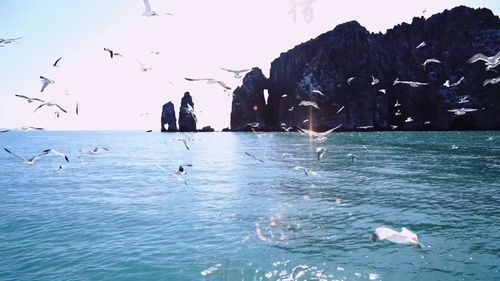 今年夏天看的海是海关战线的海_海关战线》热映，港风重燃！谢霆锋张学友海上狂飙