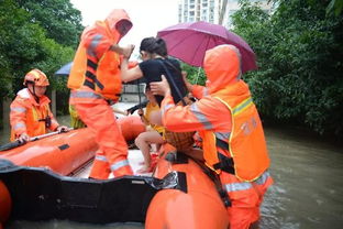 重庆消防在齐胸洪流中转移46名群众_重庆多地暴雨出现内涝，疏散转移群众超6000人