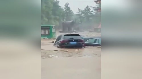 暴雨致宝鸡境内多处道路中断_陕西宝鸡降水破纪录 市区出现内涝