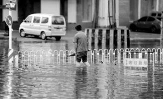 #直击沈阳暴雨#沈阳暴雨致市区严重内涝，商户：店内积水深至大腿，街上车辆几乎没顶