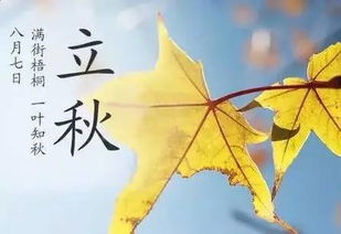 明天就是立秋节气了_明日七月初四立秋，老人说：今年是“穿衣秋，暗合秋”，有啥说法